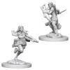 Wizkids D&D Nolzur's Marvelous Miniatures: Air Genasi Rogue (Female) (73204)