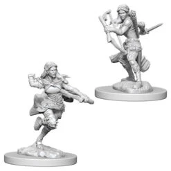 Wizkids D&D Nolzur's Marvelous Miniatures: Air Genasi Rogue (Female) (73204)