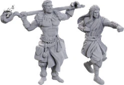 Wizkids D&D Nolzur's Marvelous Miniatures: Archdruid & Martial Arts Adept (90695)