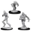 Wizkids D&D Nolzur's Marvelous Miniatures: Blights (73537)