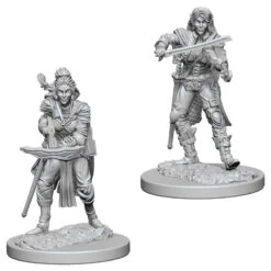 Wizkids Pathfinder Deep Cuts: Elf Female Bard (72611)
