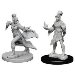 Wizkids Pathfinder Deep Cuts: Elf Female Sorcerer (72606)