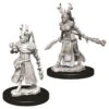 Wizkids D&D Nolzur's Marvelous Miniatures: Female Human Druid (73701)