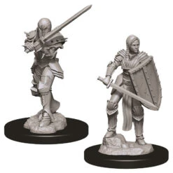 Wizkids D&D Nolzur's Marvelous Miniatures: Female Human Fighter (73705)