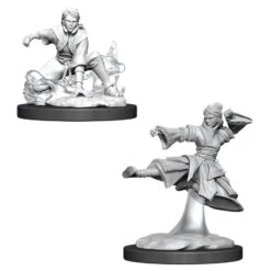 Wizkids D&D Nolzur's Marvelous Miniatures: Female Human Monk (90008)