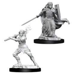 Wizkids D&D Nolzur's Marvelous Miniatures: Female Human Paladin (73830)