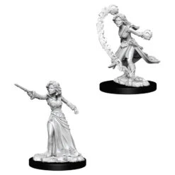 Wizkids Pathfinder Deep Cuts: Human Female Wizard (73412)