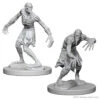 Wizkids D&D Nolzur's Marvelous Miniatures: Ghouls (72571)