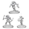 Wizkids D&D Nolzur's Marvelous Miniatures: Goblins (72556)