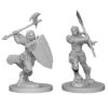 Wizkids Pathfinder Deep Cuts: Half Orc Female Barbarian (72614)