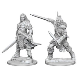 Wizkids Pathfinder Deep Cuts: Human Male Fighter (72596)