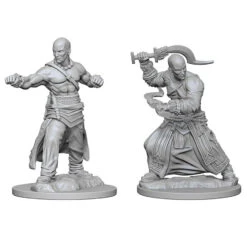 Wizkids Pathfinder Deep Cuts: Human Male Monk (72612)