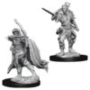 Wizkids D&D Nolzur's Marvelous Miniatures: Male Elf Rogue (73539)