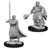 Wizkids D&D Nolzur's Marvelous Miniatures: Male Human Cleric (73672)