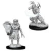 Wizkids D&D Nolzur's Marvelous Miniatures: Male Human Druid (73390)