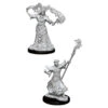 Wizkids Pathfinder Deep Cuts: Male Human Sorcerer (90052)
