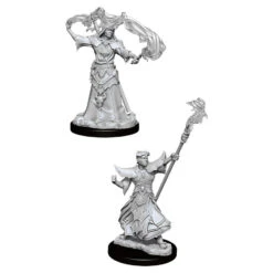 Wizkids Pathfinder Deep Cuts: Male Human Sorcerer (90052)