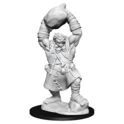 Wizkids Pathfinder Deep Cuts: Ogre (90041)
