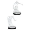 Wizkids D&D Nolzur's Marvelous Miniatures: Shadow (2) (90016)