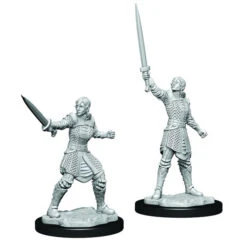Wizkids Critical Role Unpainted Miniatures: Human Dwendalian Empire Fighter (Female) (90386)