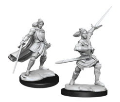 Wizkids Critical Role Unpainted Miniatures: Half-Elf Xhorhas Paladin (Female) (90390)