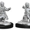 Wizkids Pathfinder Deep Cuts: Halfling Monk Male (90328)