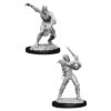 Wizkids D&D Nolzur's Marvelous Miniatures: Wight & Ghast (90021)