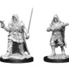 Wizkids Pathfinder Deep Cuts: Human Rogue Male (90168)