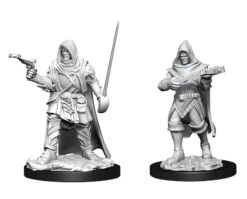 Wizkids Pathfinder Deep Cuts: Human Rogue Male (90168)