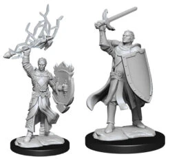 Wizkids D&D Nolzur's Marvelous Miniatures: Half-Elf Paladin Male (90230)