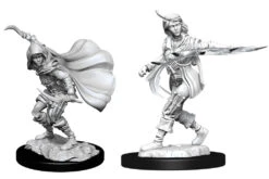 Wizkids Pathfinder Deep Cuts: Female Human Rogue (90269)