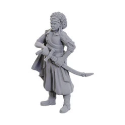 Wizkids D&D Nolzur's Marvelous Miniatures: Ansalon Human Rogue (90110)