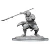 Wizkids D&D Nolzur's Marvelous Miniatures: Oni Female (90490)