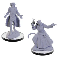 Wizkids Critical Role Unpainted Miniatures: Lucien Tavelle & Cree Deeproots (90663)