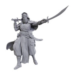 Wizkids Pathfinder Deep Cuts: Desert Giant (90712)